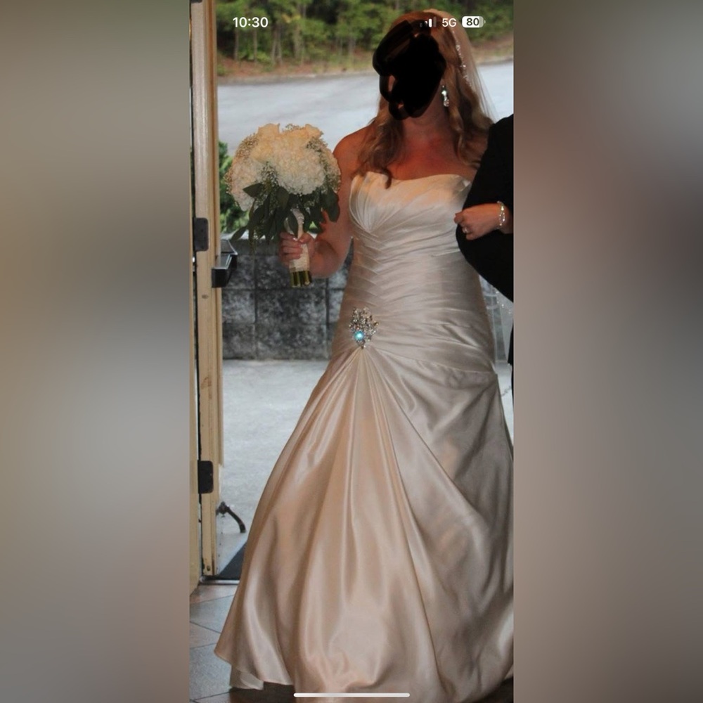 Elegant Essence Ivory Wedding Dress w/ Veil